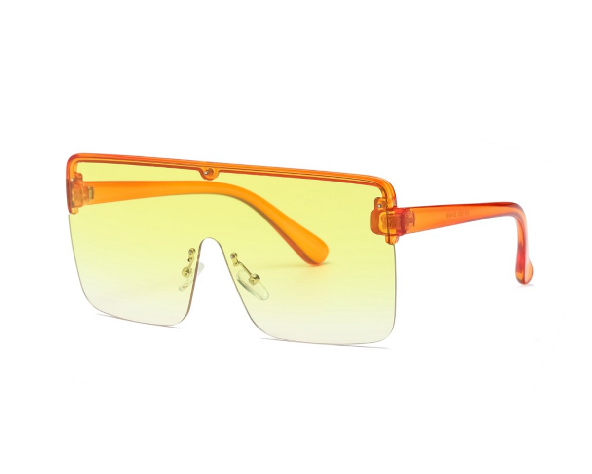 Sunglasses: Style 1581